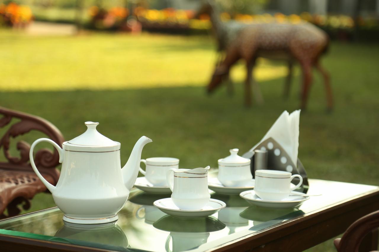 Naturoville Ayurvedic And Yoga Retreat Ξενοδοχείο Rishīkesh Εξωτερικό φωτογραφία
