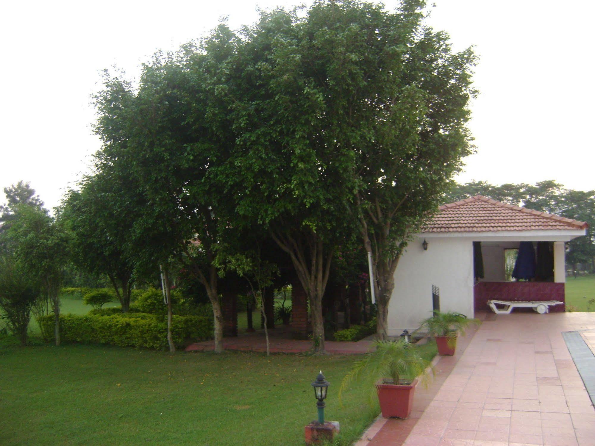 Naturoville Ayurvedic And Yoga Retreat Ξενοδοχείο Rishīkesh Εξωτερικό φωτογραφία