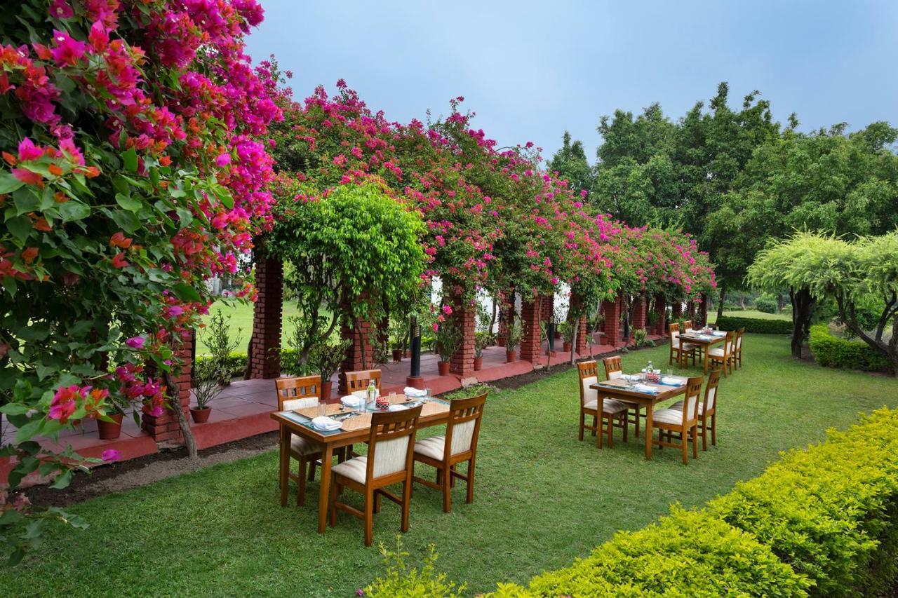 Naturoville Ayurvedic And Yoga Retreat Ξενοδοχείο Rishīkesh Εξωτερικό φωτογραφία